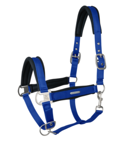 Halster WH Mesh  Saphire Blue
