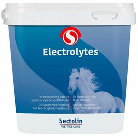 Sectolin Equivital Electrolyten