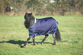 Shires Tempest Lite Turnout Mini 0 gram 