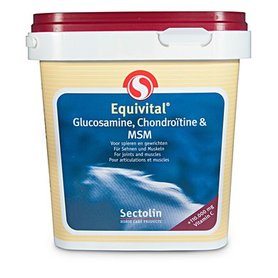Sectolin Equivital Glucosamine, Chondroitine & MSM