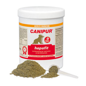 Canipur Hepafit