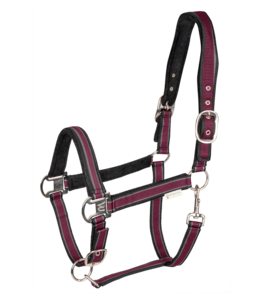 Halster WH Athletic Burgundy Red