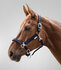 Halster WH Athletic Nightblue_