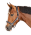 Halster WH Athletic Asphalt-Zwart_